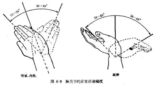 上肢及肩部的体格检查