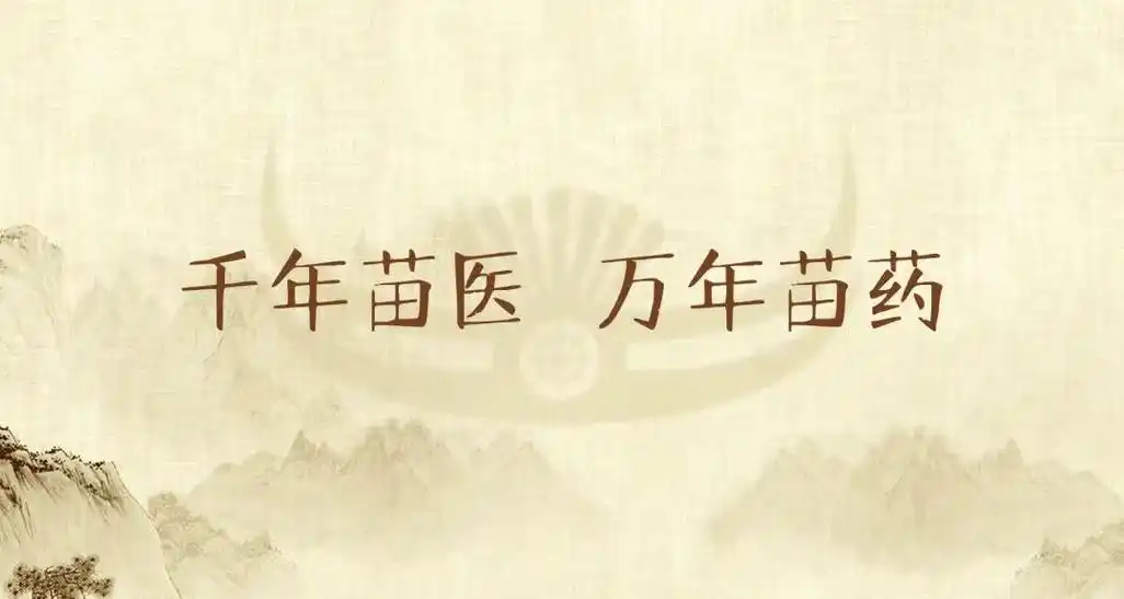 千年苗医,万年苗药!苗医药文化的起源,要追溯到蚩尤部落!