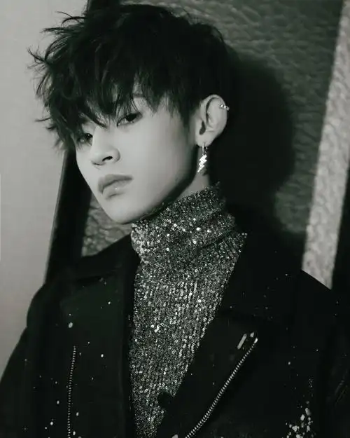 小鬼王琳凯高领亮片皮衣写真图片19