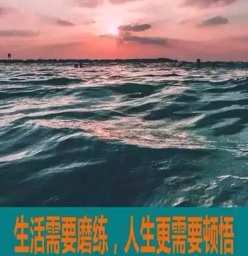 生活需要磨练,人生更需要顿悟【图文】