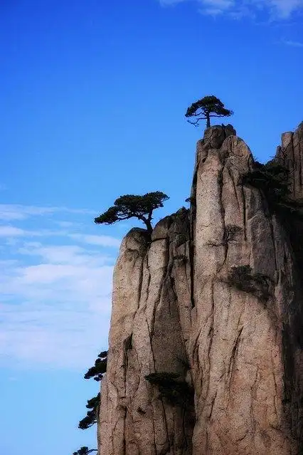 黄山☆ 天都脚下三岛拱,玉屏横展迎客松