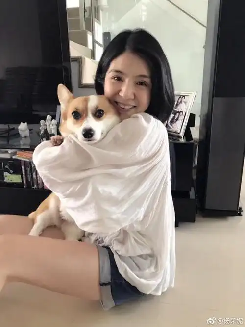 邱韶智与儿子近照曝光原来杨采妮每天面对的是这样的男人