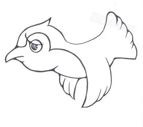 飞起来鸟的简笔画