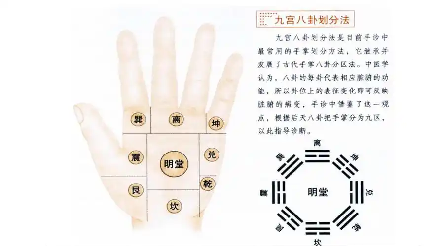 九宫八卦手诊