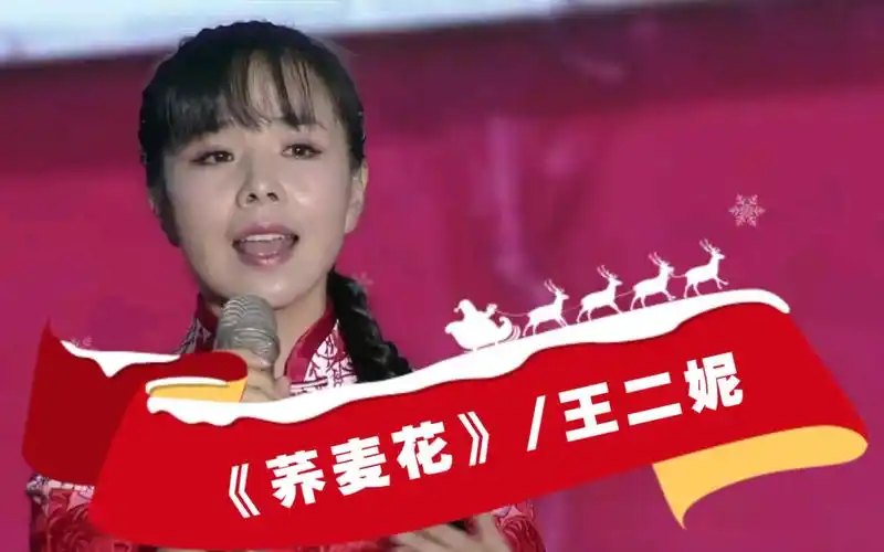王二妮带来《荞麦花》_哔哩哔哩 (゜-゜)つロ 干杯~-bilibili