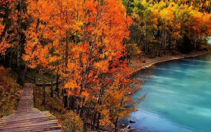 你觉得秋天开始的瞬间,高清壁纸,风景图片-回车桌面