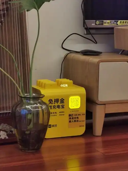 今年家里买的最正确的一样东西美团充电宝