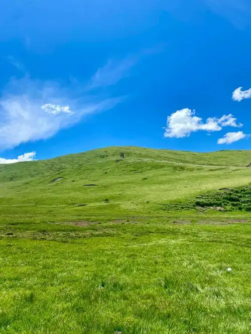 治愈蓝天白云草地