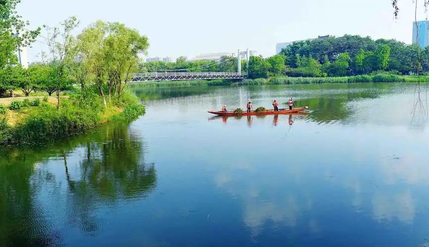 xjh800518    发消息 发表于 5 小时前| 宿迁古黄河,生态水景,风景