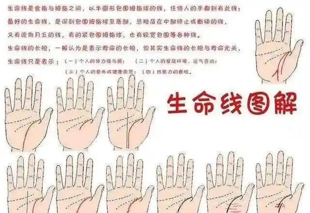 手掌中的生命线代表着什么样的财运事业运感情运呢