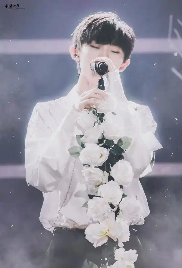 马嘉祺绝对中心 眼睛很有神,瞳孔又大又亮,眼尾上挑,略微狐狸相.