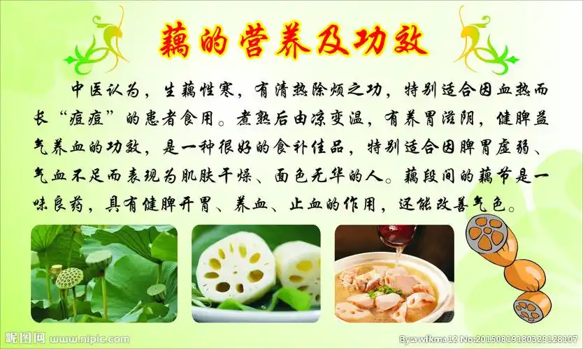 藕的营养及功效图片