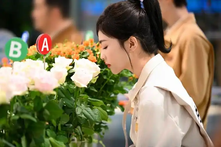 《奔跑吧12》官宣阵容,杨颖退出,宋雨琦补位,全新组合看点更足_腾讯新