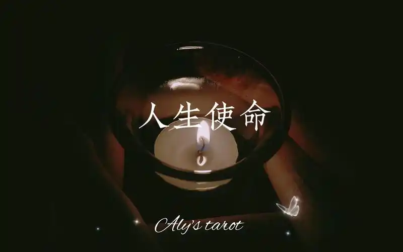 互动视频aly塔罗人生使命