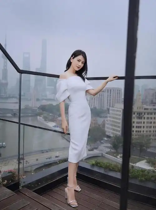 高圆圆出席活动绿裙子(高圆圆绝美长腿)-天晟网