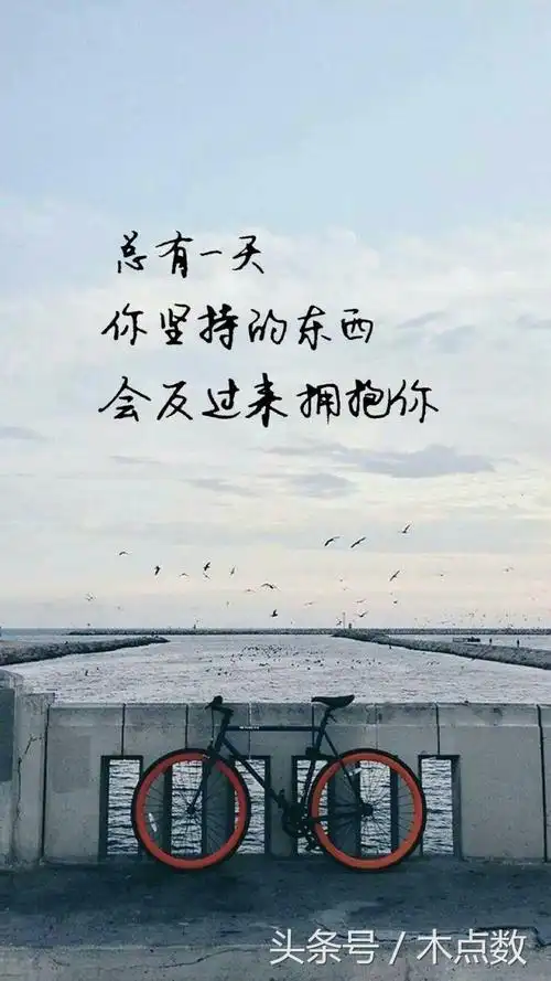 18句说透人心的话,理想与现实的对比