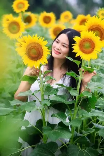 微笑拥抱每一天,做像向日葵般温暖的女子