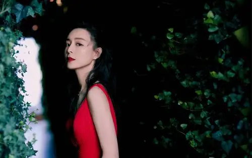 张静初飒爽红裙性感图片桌面壁纸