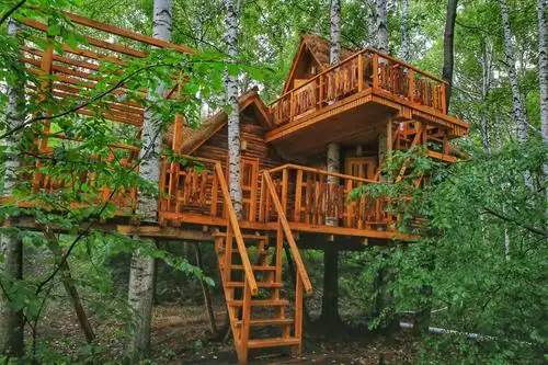 东北小兴安岭森林小树屋,你想睡在这里吗?