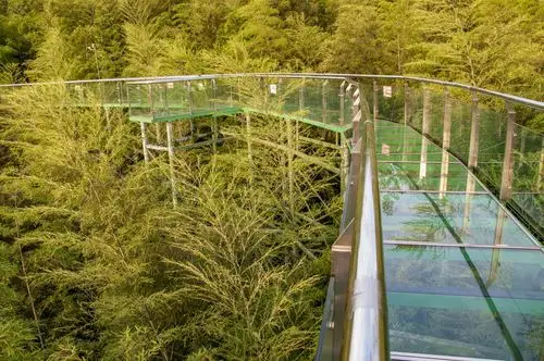 竹尖长廊玻璃栈道,即剌激震撼,又松散浪漫.