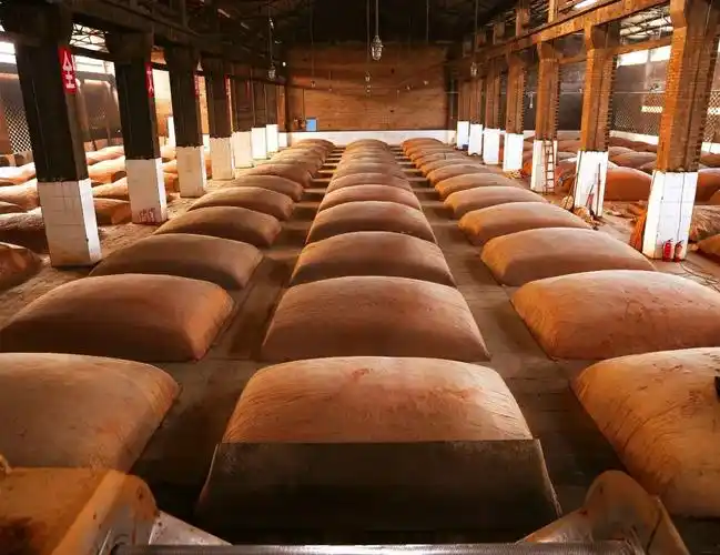 川酒风物丨窖为酒之魂读懂窖池你就读懂了中国白酒