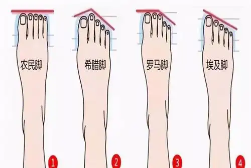 相信各位父母都会想尽办法"探究"宝宝的命运,细致入微地观察他的手相