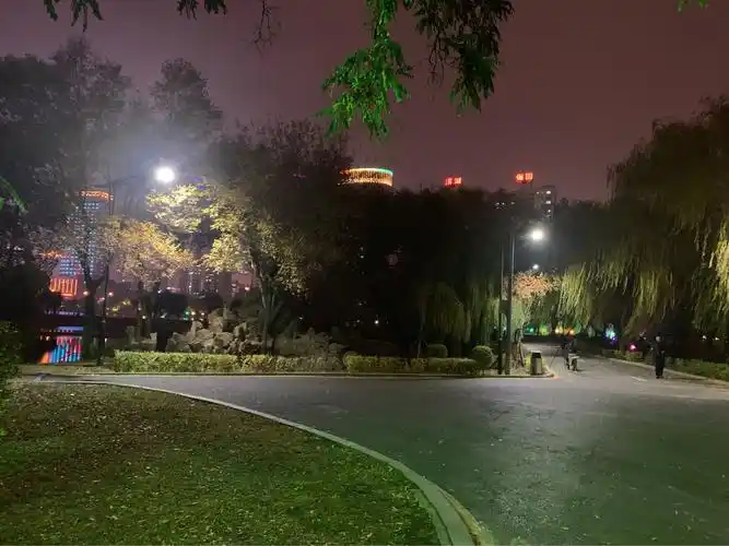 夜晚公园里幽静的美