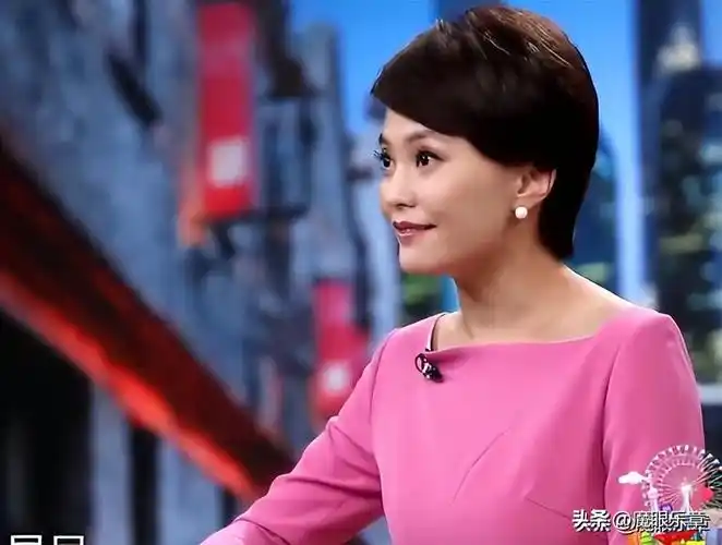 中央法制频道主持人(上海台顶流新闻节目20年庆生) - 燕来学堂