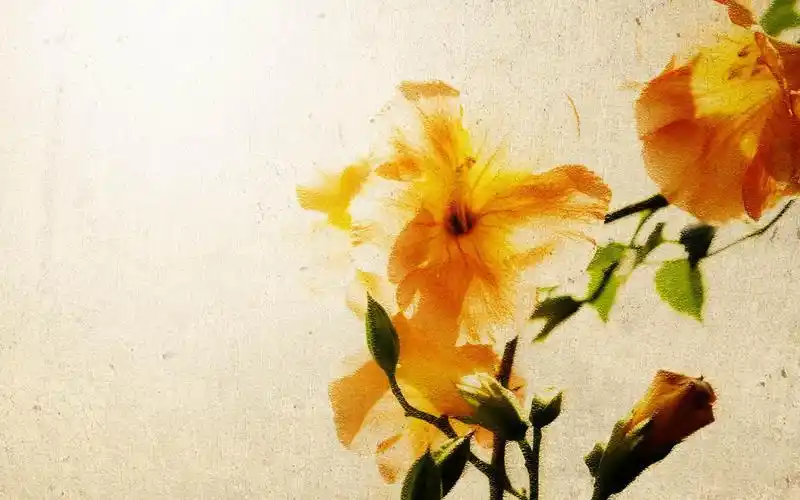 小清新淡雅的中国风插画背景精选壁纸图片(二)