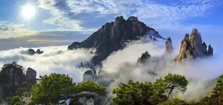 准考证_高考_门票