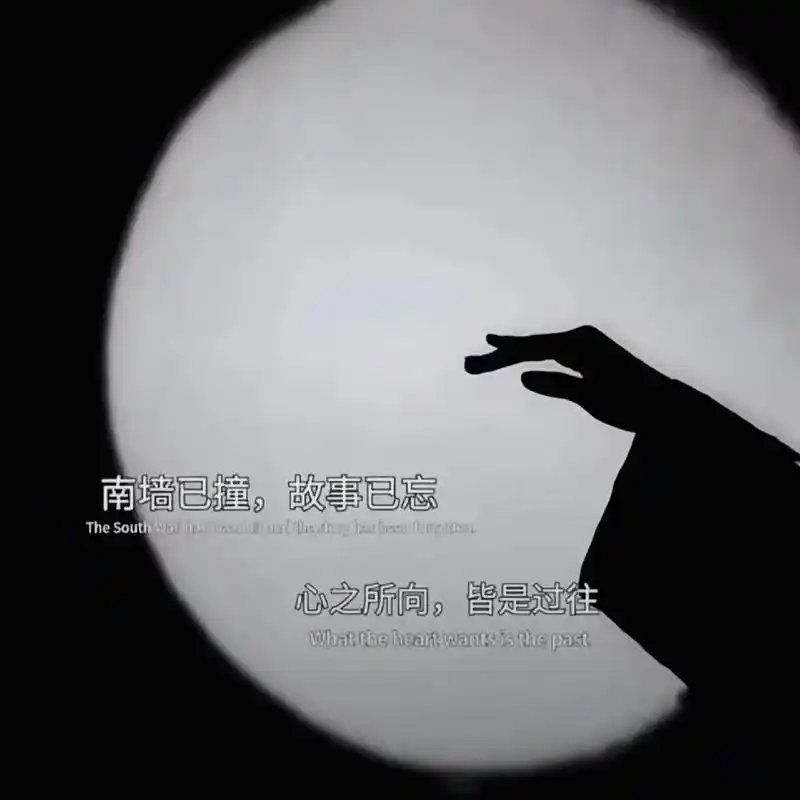 这段婚姻,始于心甘情愿,终于愿赌服输,来时没奢求,离时放亦担然