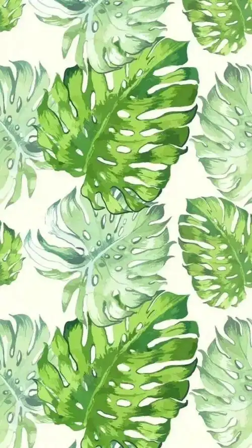 抖音新流行的绿色壁纸1000w点赞