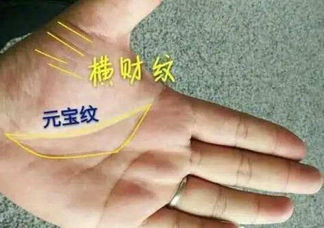 手相看你财运,婚姻方法,全解!