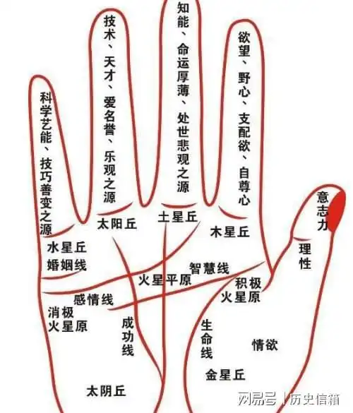 中指笫一节节纹有"三条纹"的人中指这三处有 发财纹 的人,中年必定