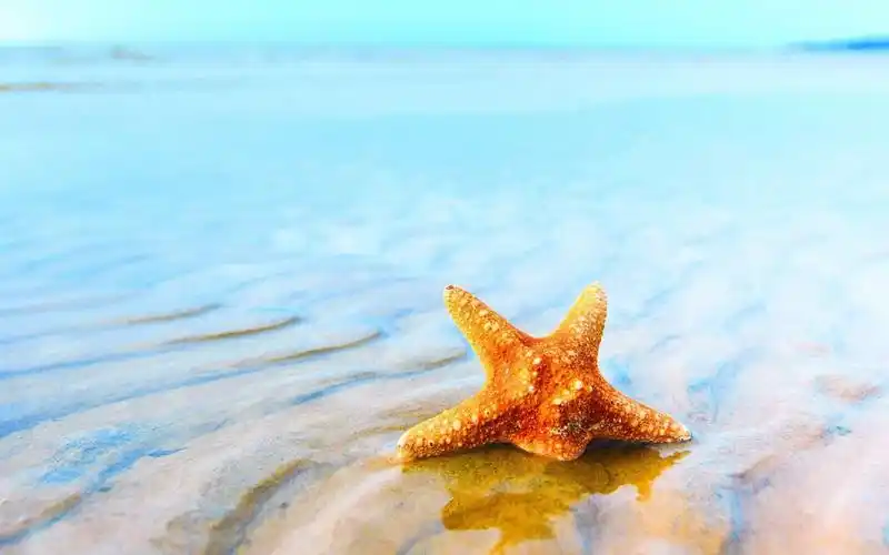 沙滩美景精美素材_美丽的沙滩美景_风景壁纸