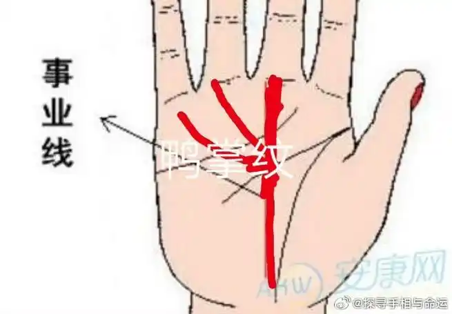 晚清大臣李鸿章的手纹,最好的手纹,最好的运势——鸭掌纹