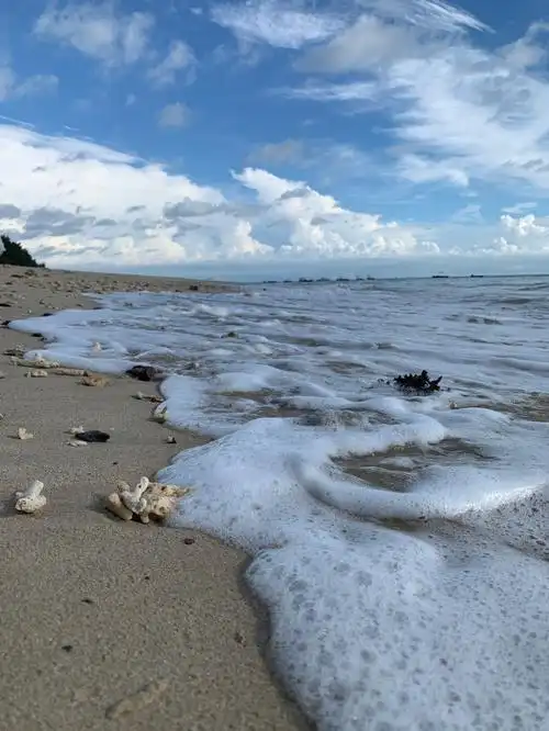 涠洲岛捡贝壳贝壳沙滩