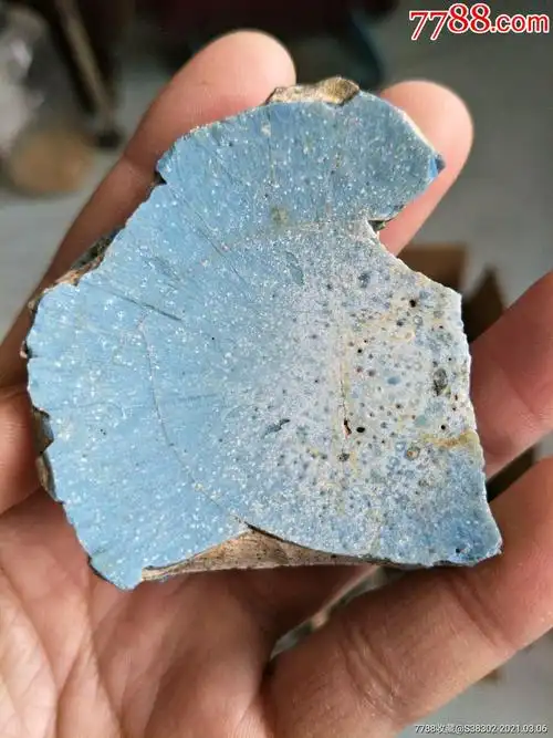 京杭大运河出品宋元钧窑瓷片临清运河古玩店万枚瓷片标本馆