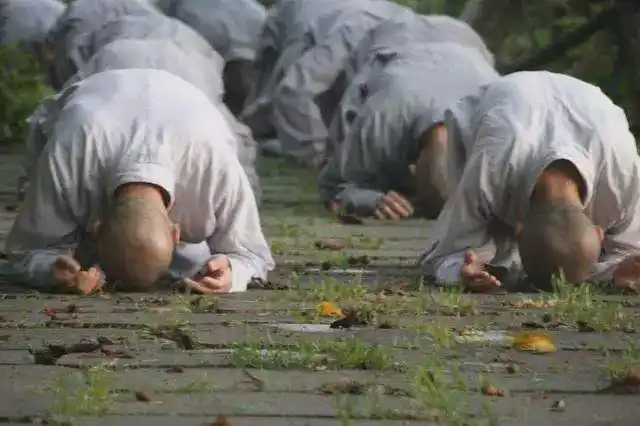 淡饭随缘过此生今日佛前求忏悔贪吃濨味损生灵四忏自身舌之罪南无求