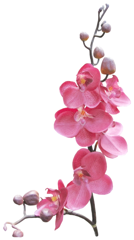 【转载】《透明什件》〖免抠png素材〗【适合ps画音贴图制作】