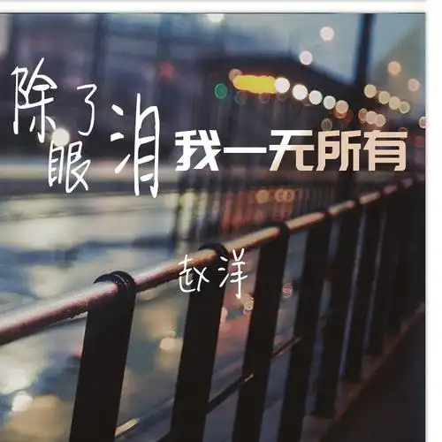 赵洋除了眼泪我一无所有
