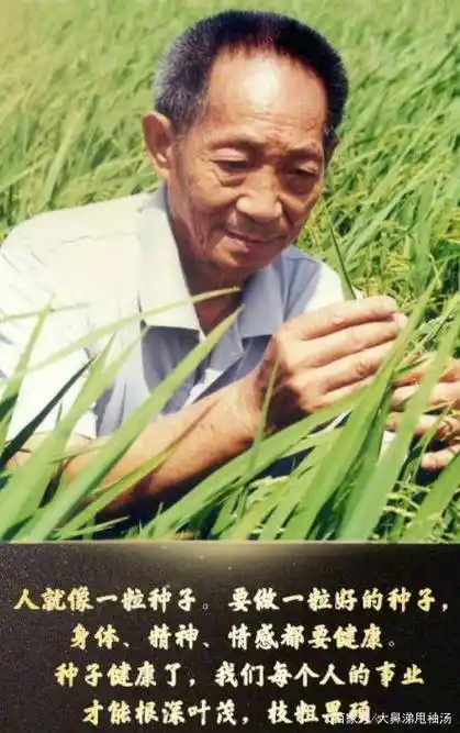 鸡公山武校怀念袁隆平爷爷最好的方式_中国_世界_国家