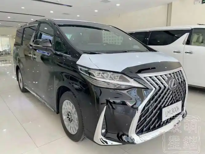 雷克萨斯lm300h  4座 黑/黑 现车在售