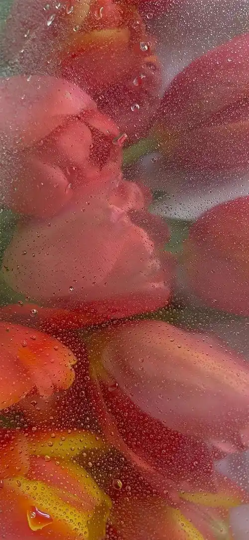 全面屏手机壁纸集合(85)