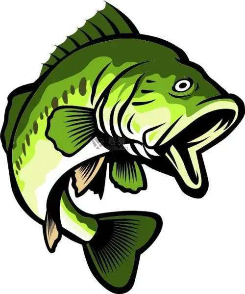 派克鱼插图矢量设计