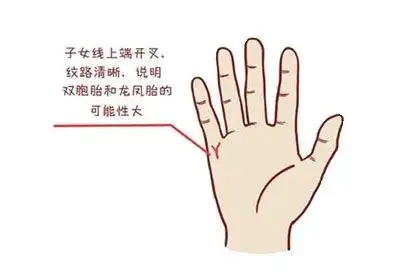 一,怎么看手相子女线