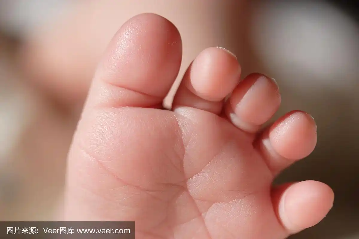 宝宝的脚趾