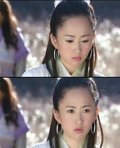 杨蕊神雕侠侣陆无双