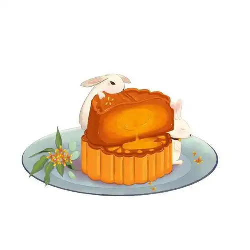 明天正式开启|玉兔|生肖|灯笼|手作_网易订阅