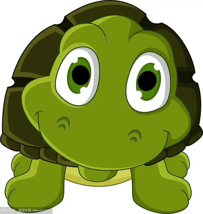 可爱的绿海龟卡通